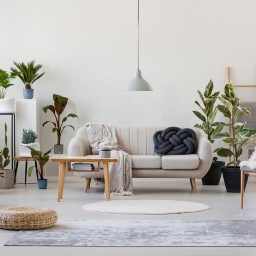 Home & Lifestyle